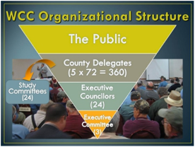 Description: OrganizationalStructurePyramid.jpg
