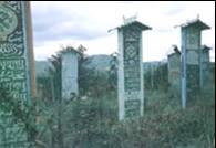 Tombstones in Chechnya