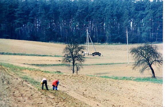 Farming in Poland