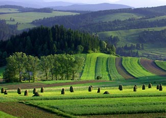 fields near Krakow