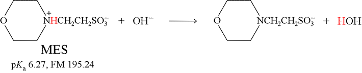 Reaction of the weak acid MES with hydroxide ion