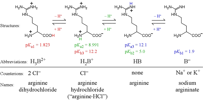 Arginine: An example of a triprotic amino acid