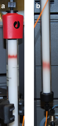 Photo of a size exclusion chromatography column with a visible band due to cytochrome c in the sample (a) early in the run, and (b) late in the run