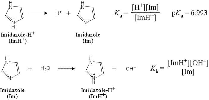 Imidazole buffer: Equations corresponding to Ka and Kb