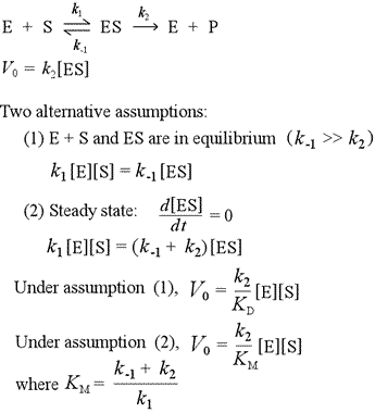 Equations for steady-state and equilibrium assumptions