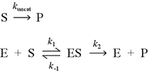 Simple mechanistic schemes for a nonenzymatic (uncatalyzed) and enzymatic (catalyzed) reactions