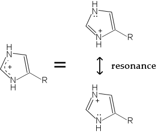 resonance forms of protonated imidazole