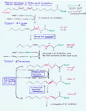 Diagram of metabolism of unsaturated fatty acids (thumbnail)