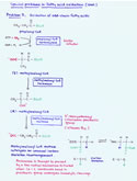 Diagram of metabolism of odd chain fatty acids (thumbnail)
