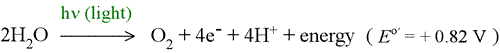 Equation for light reactions of photosynthesis