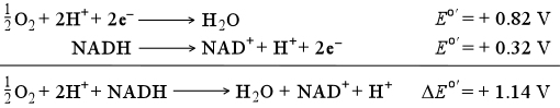 Redox reaction equation: NADH reduction of molecular oxygen to water, and the corresponding change in biochemical standard reduction potential