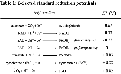 Selected standard (biochemical) reduction potentials