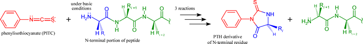 Overall reactants and products for one three-step round of Edman degradation