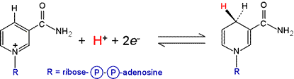 reduction half-reaction for NAD+/NADH, showing structural formulas
