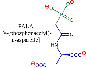 Structural diagram of PALA, a bisubstrate analog inhibitor of ATCase