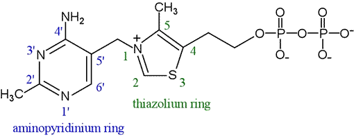 Thiamine Diphosphate