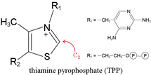 Structural formula of thiamine pyrophosphate (TPP)