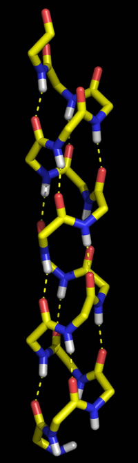 Model of the alpha helix (poly Gly)