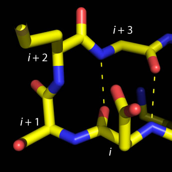 Image of type I beta turn