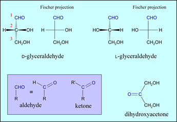 Structural formulas for D- and L-glyceraldehyde, and dihydroxyacetone - the simplest carbohydrates
