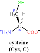 Structural diagram of cysteine (free amino acid)