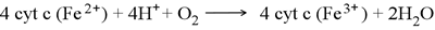 Chemical equation for oxygen reduction by cytochrome c, carried out by Complex IV