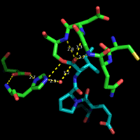 Image of elastase acy-enzyme intermediate