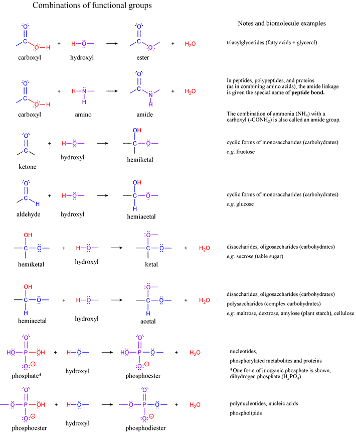 phosphate functional group example