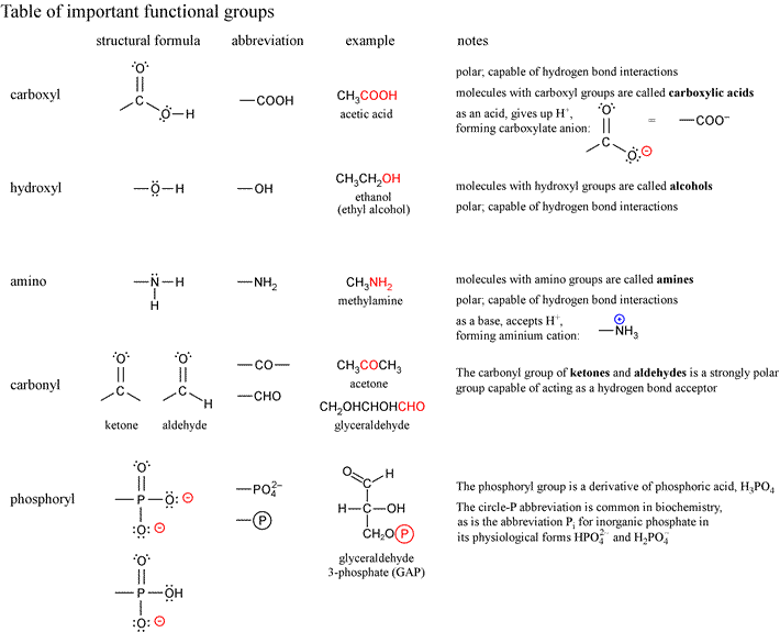 Names and structures of important functional groups in biochemistry