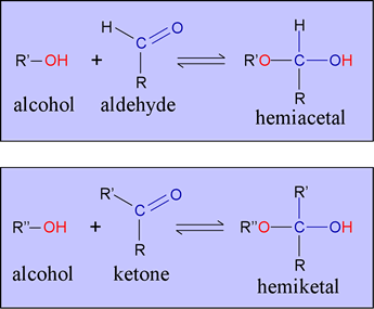 Reaction of an alcohol with and aldehyde or a ketone to form a hemiacetal or hemiketal, respectively