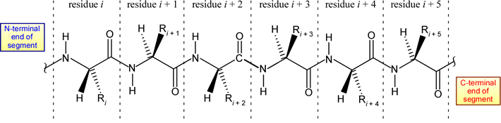 Sketch of 10-residue polypeptide chain