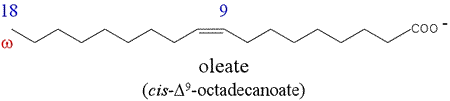 Structural formula of palmitate