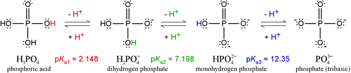 The Lewis structures and pKa values of the ionization states of phosphate