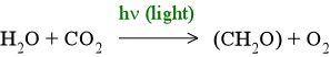 Basic equation of photosynthesis