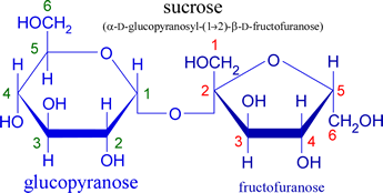 Structural formula of sucrose (Haworth projection)