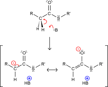 thioester