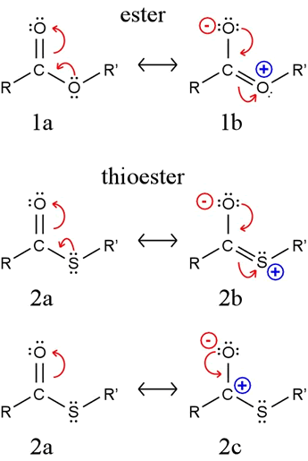 thioester