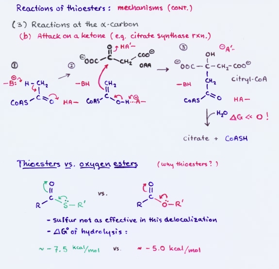 thioester