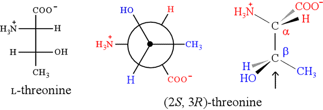 A propos des Acides aminées et des protéines Threonine-stereochem