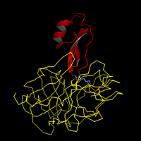 Image of trypsin-BPTI complex