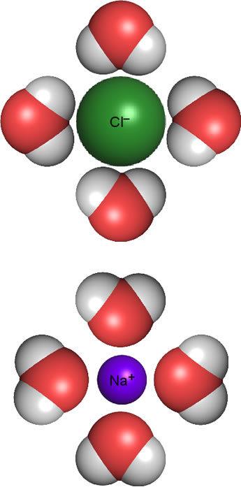 Solvation of ions by water molecules