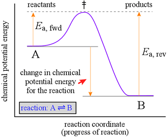 Reaction coordinate diagram for the simple reaction A = B
