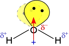 Water molecule structure and dipole